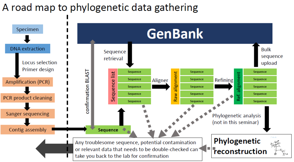 phylodatagathering